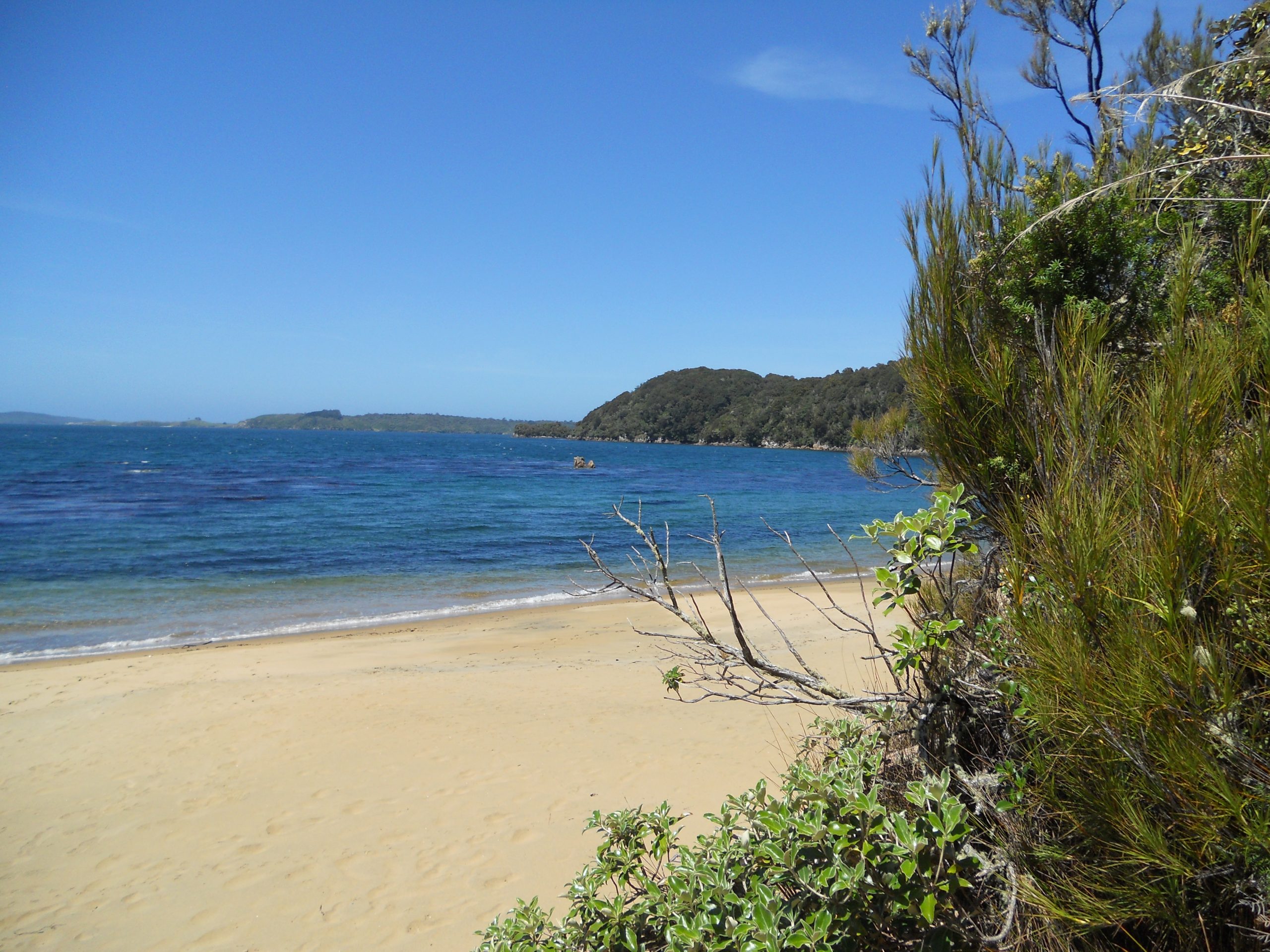 Stewart Island N. Z.